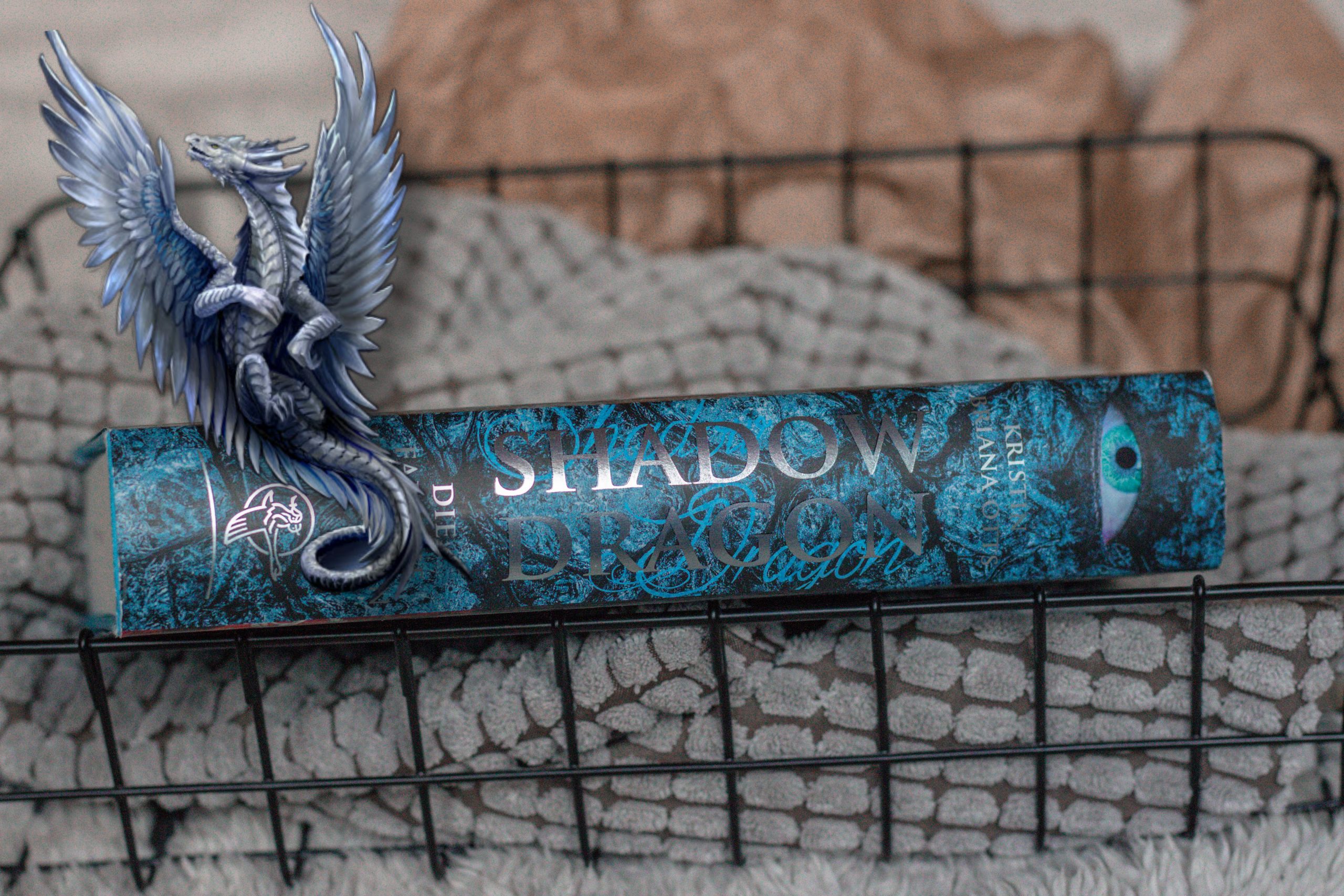 Die falsche Prinzessin – Shadow Dragon | Kristin Briana Otts