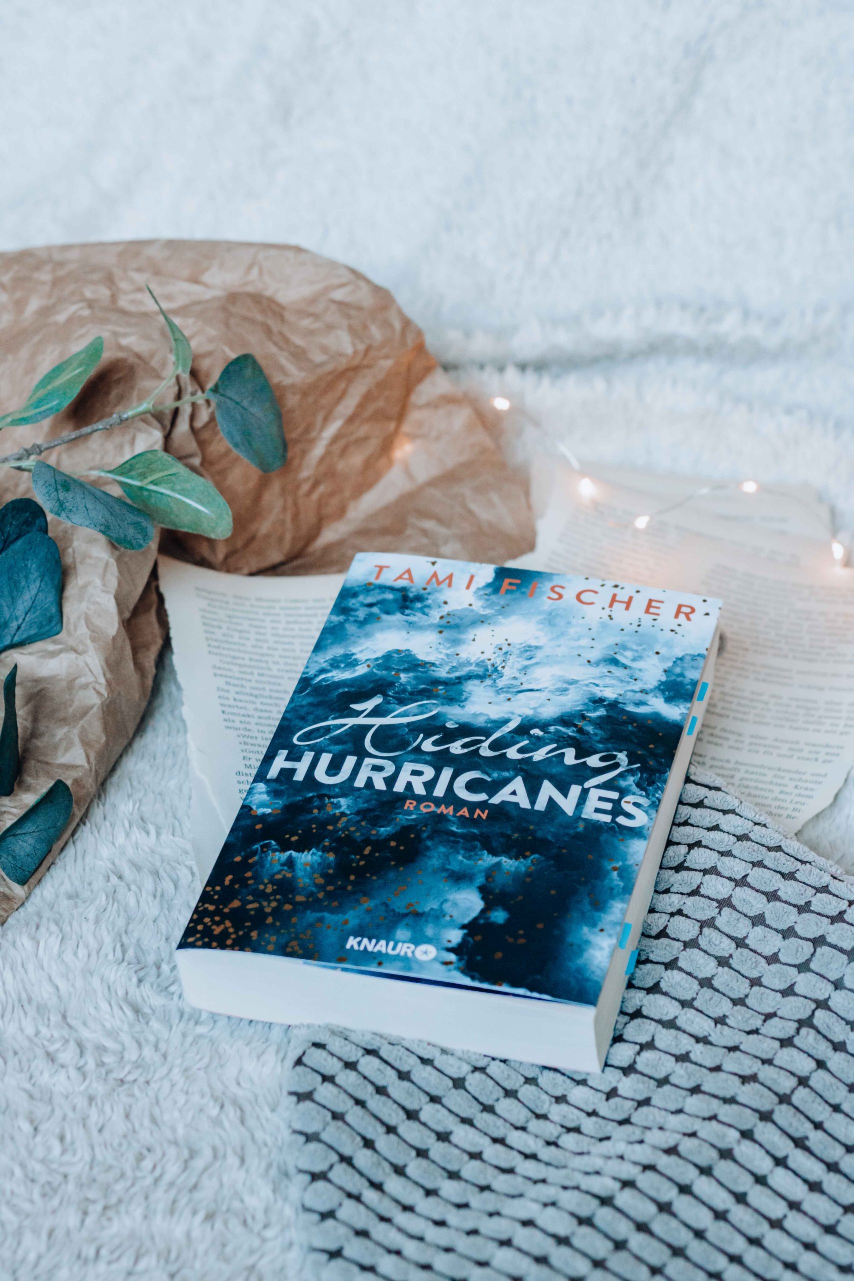 Hiding Hurricanes – Fletcher University | Tami Fischer