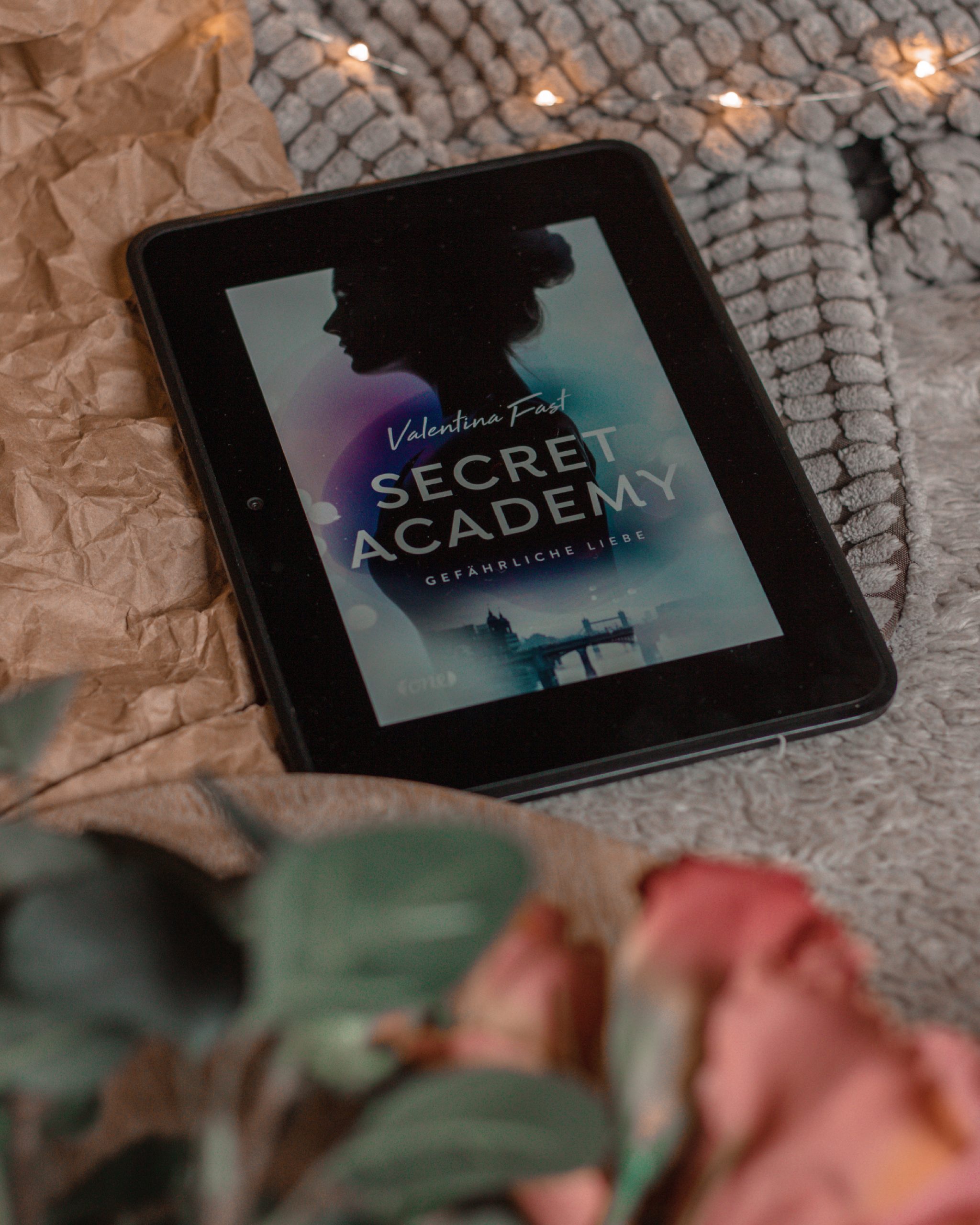 Gefährliche Liebe  – Secret Academy | Valentina Fast